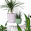 Детайл 